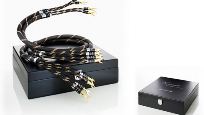 bi_wire_cable_01-666x375